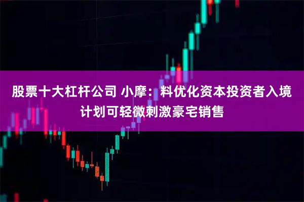 股票十大杠杆公司 小摩：料优化资本投资者入境计划可轻微刺激豪宅销售