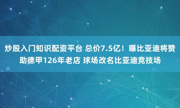 炒股入门知识配资平台 总价7.5亿！曝比亚迪将赞助德甲126年老店 球场改名比亚迪竞技场
