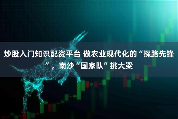 炒股入门知识配资平台 做农业现代化的“探路先锋”，南沙“国家队”挑大梁