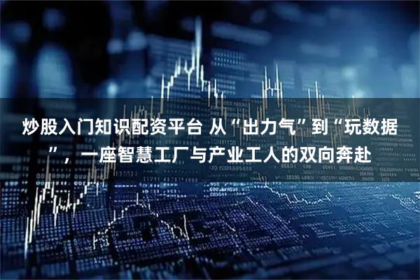 炒股入门知识配资平台 从“出力气”到“玩数据”，一座智慧工厂与产业工人的双向奔赴