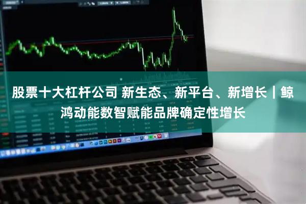 股票十大杠杆公司 新生态、新平台、新增长｜鲸鸿动能数智赋能品牌确定性增长